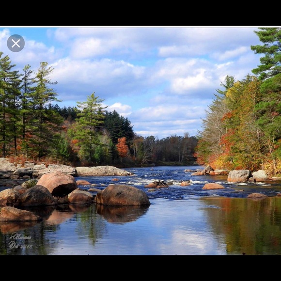 Hi I’m Lyn - Picture 7 of 8